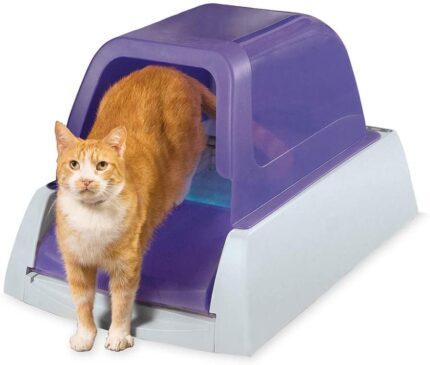 PetSafe ScoopFree Ultra Self-Cleaning Cat Litter Box